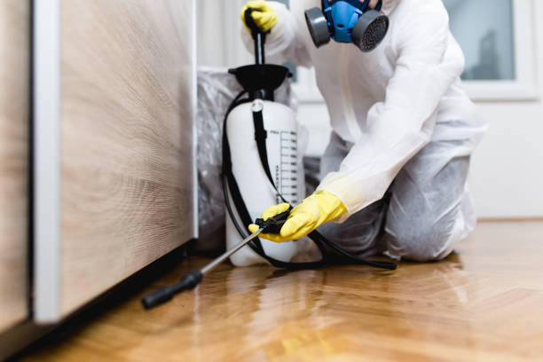 Best Best Pest Control Companies  in Graceville, FL