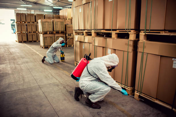 Best Cockroach Control Services  in Graceville, FL