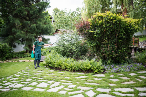 Best Affordable Pest Control Services  in Graceville, FL