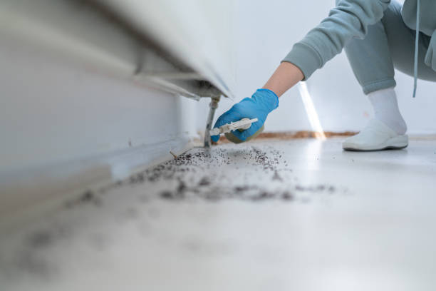 Best Pest Prevention Services  in Graceville, FL